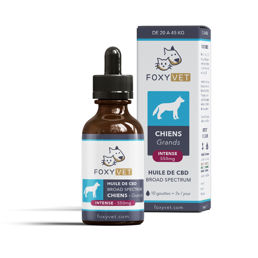 huile CBD foxyvet pour chien
