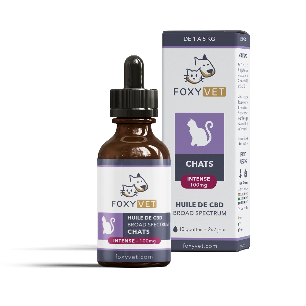 huile CBD chat foxyvet